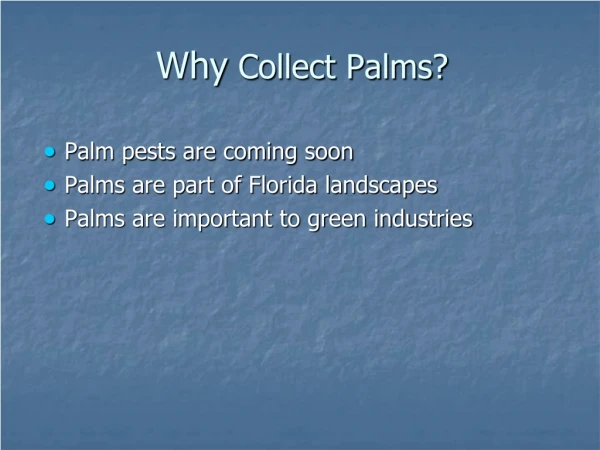Why  Collect Palms?