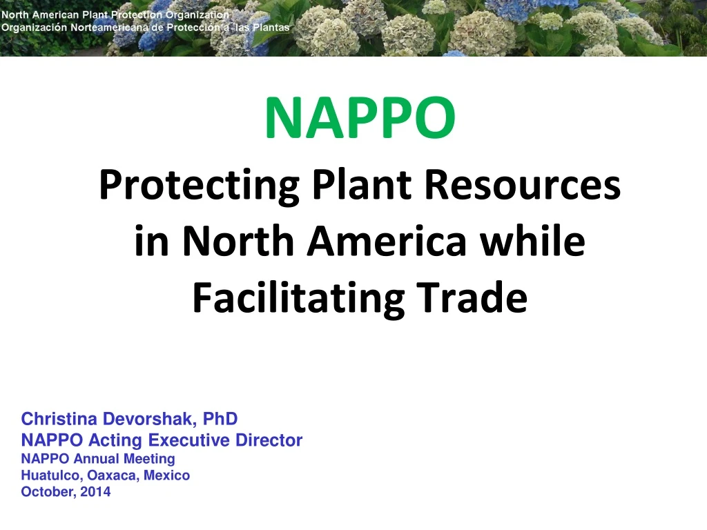 nappo protecting plant resources in north america while facilitating trade