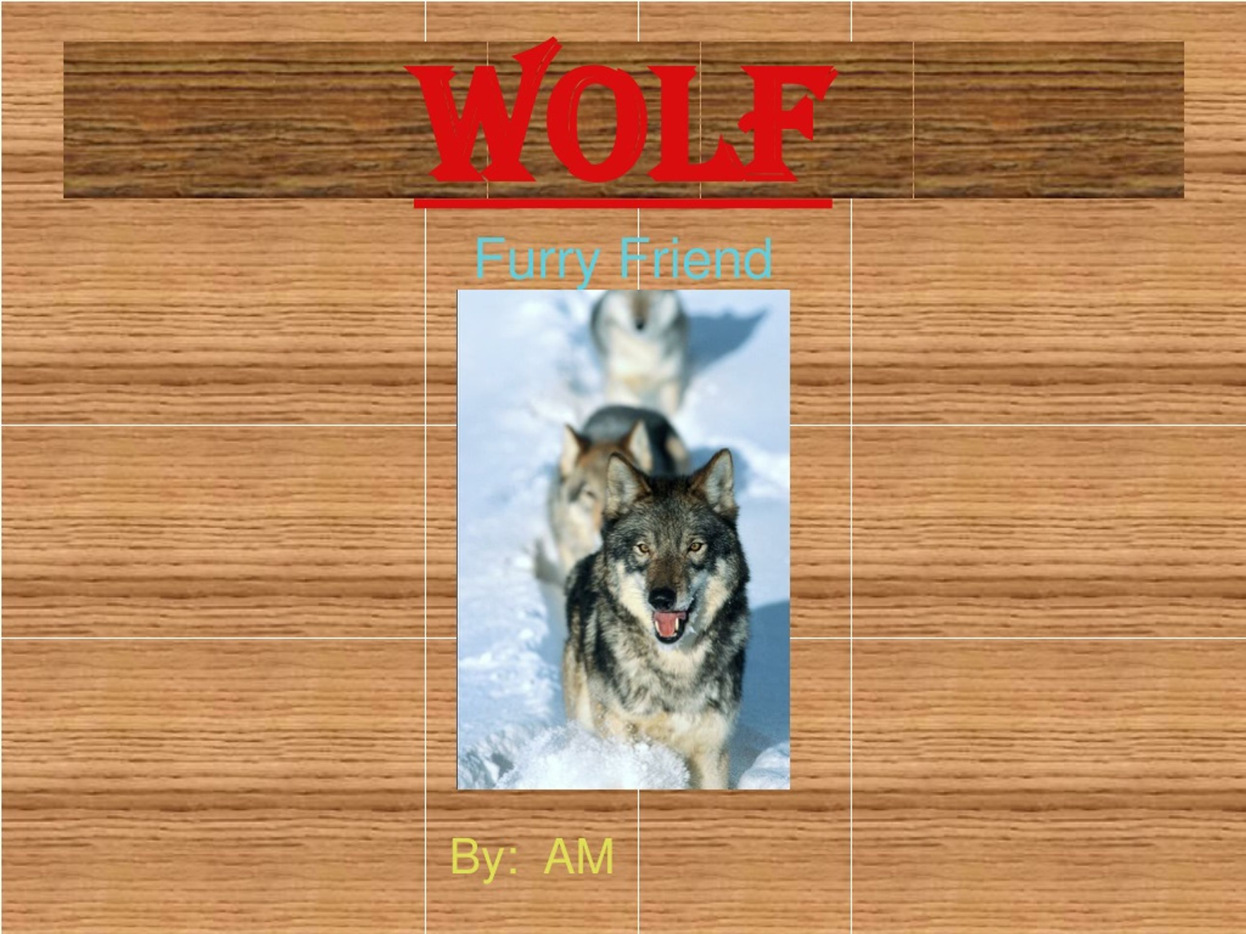 Fascinating Facts About the Wolf: Your Furry Friend - slide 1