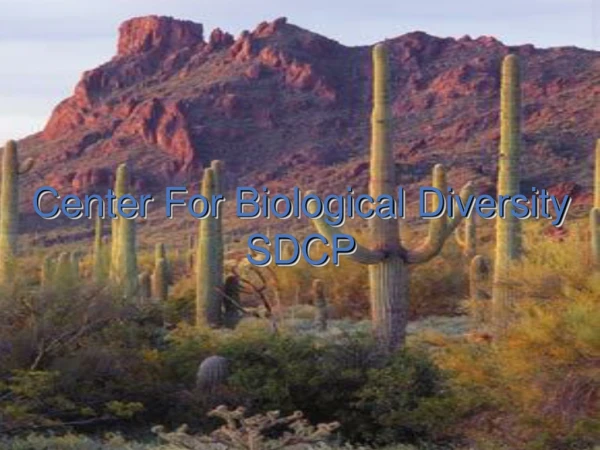 SDCP and the protection of biological diversity