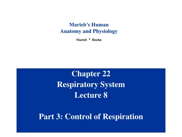 Chapter 22 Respiratory System Lecture 8 Part 3: Control of Respiration