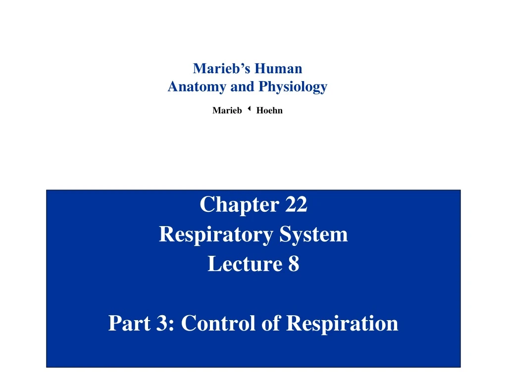 chapter 22 respiratory system lecture 8 part 3 control of respiration