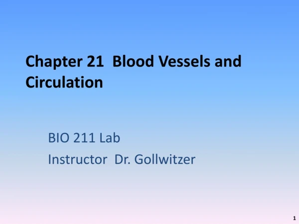 Chapter 21  Blood Vessels and Circulation