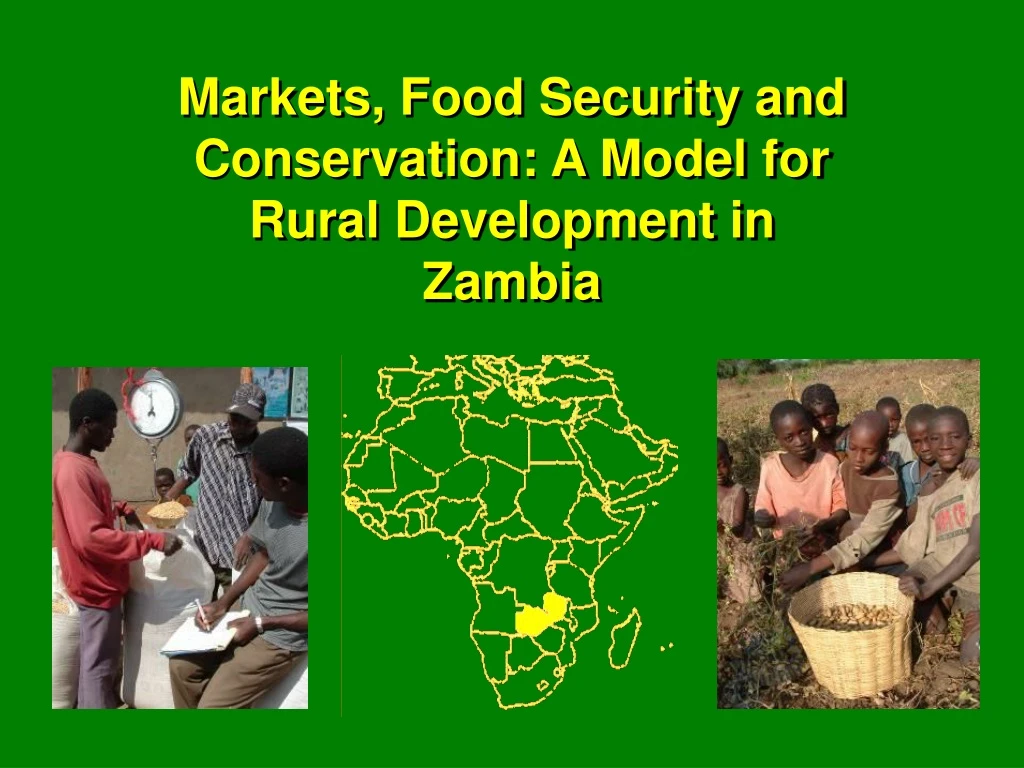 markets food security and conservation a model