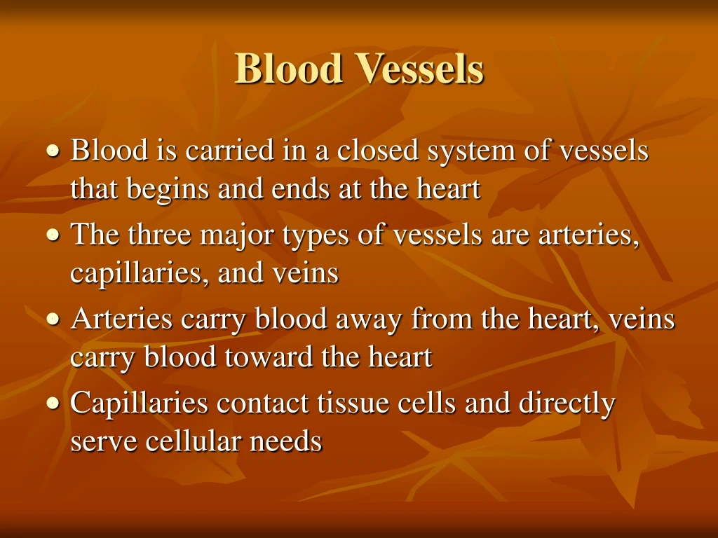 PPT - Blood Vessels PowerPoint Presentation, free download - ID:9143750