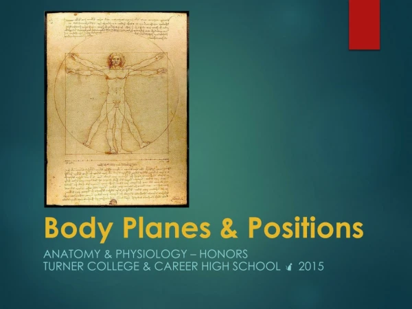 Body Planes &amp; Positions