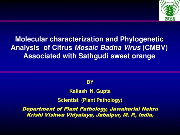 BY                    Kailash  N. Gupta Scientist  (Plant Pathology)