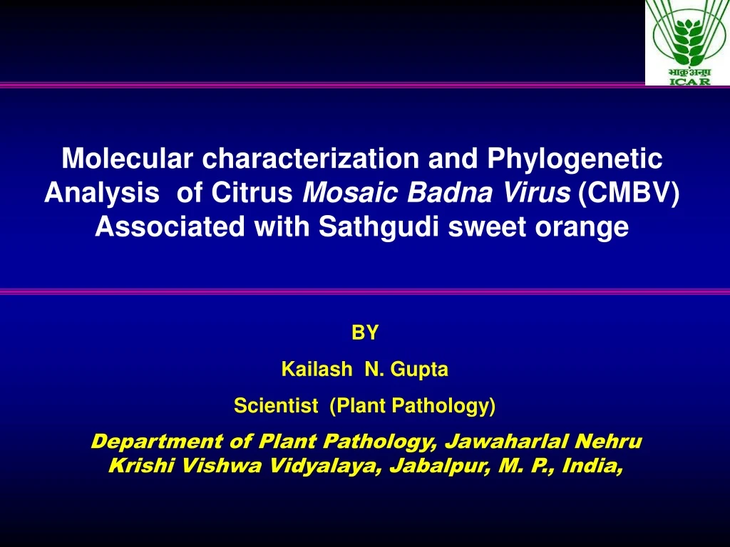 molecular characterization and phylogenetic