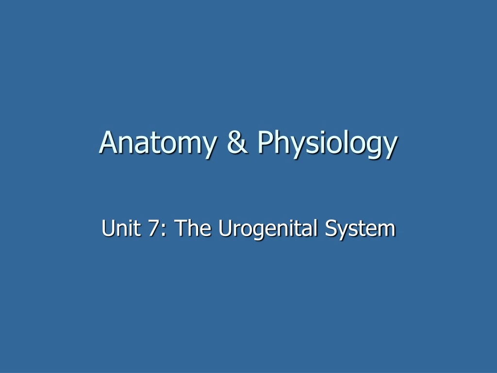 anatomy physiology