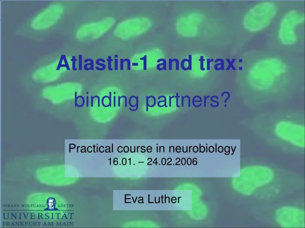 Practical course in neurobiology 16.01. – 24.02.2006