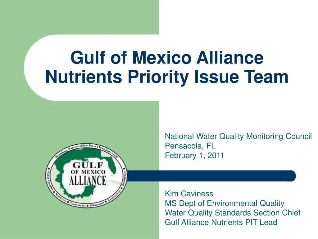 gulf of mexico alliance nutrients priority issue team