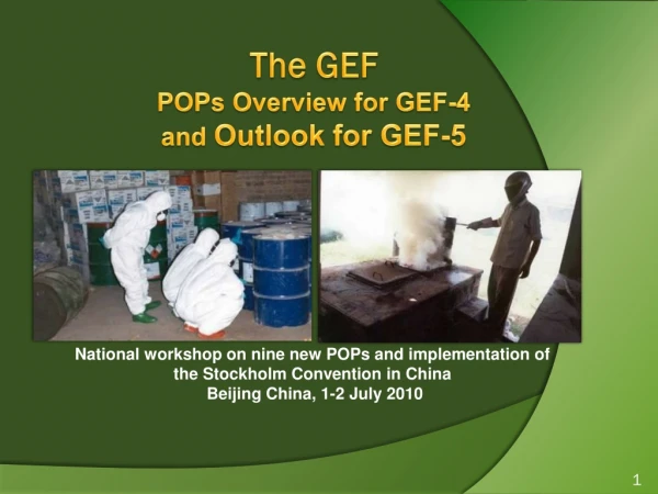 The GEF POPs Overview for GEF-4  and  Outlook for GEF-5