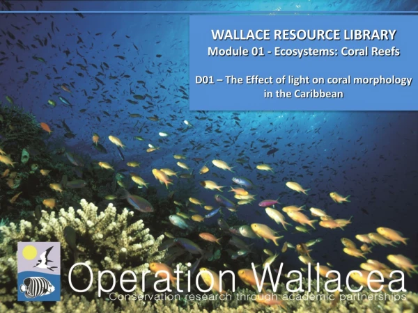 WALLACE RESOURCE LIBRARY Module 01 - Ecosystems: Coral Reefs