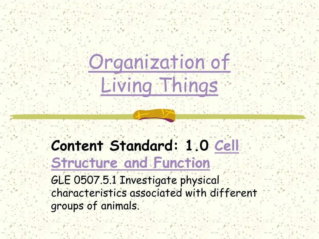 organization of living things