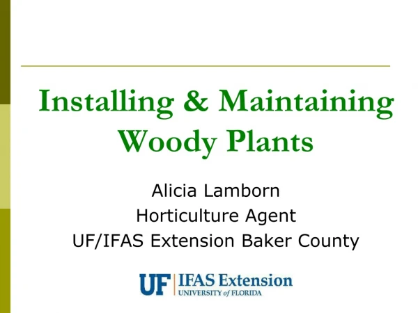 Installing &amp; Maintaining Woody Plants