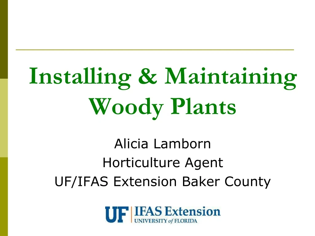 installing maintaining woody plants