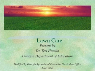 Essential Lawn Care Guide for Beautiful Green Spaces - slide 1