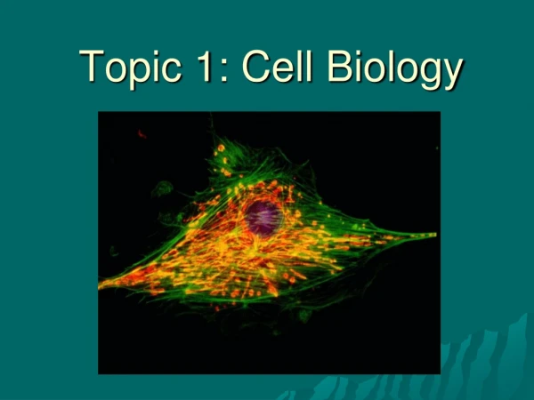 Topic 1: Cell Biology