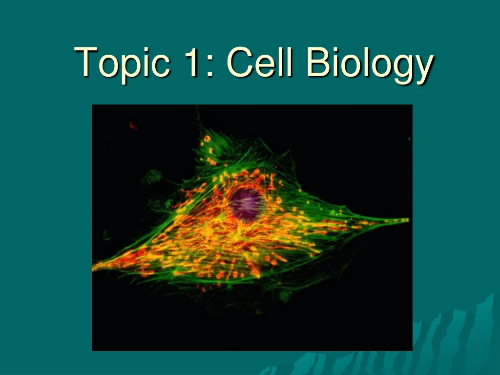 topic 1 cell biology