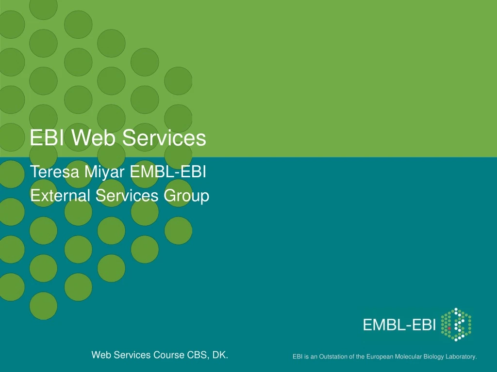 ebi web services