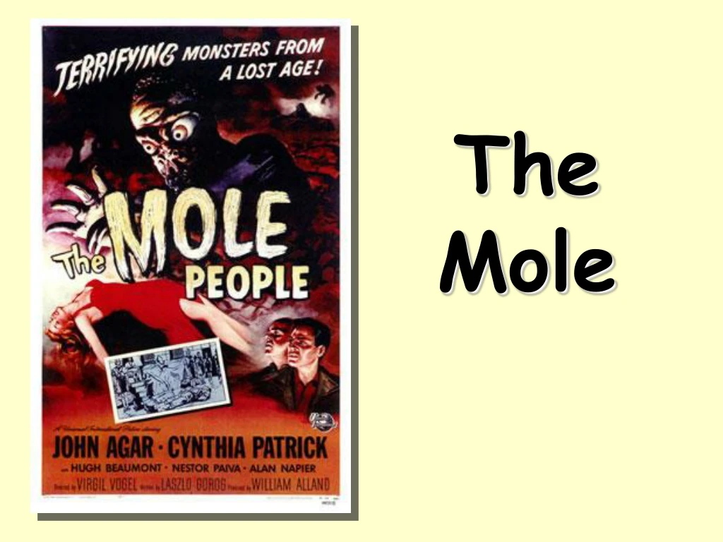 the mole