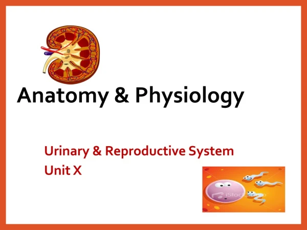 Anatomy &amp; Physiology