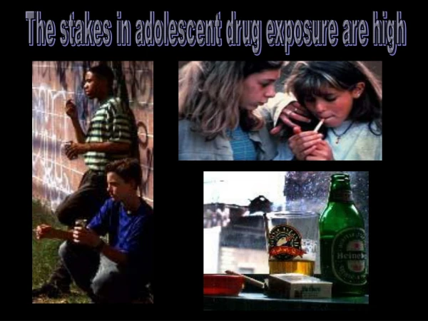 The stakes in adolescent drug exposure are high