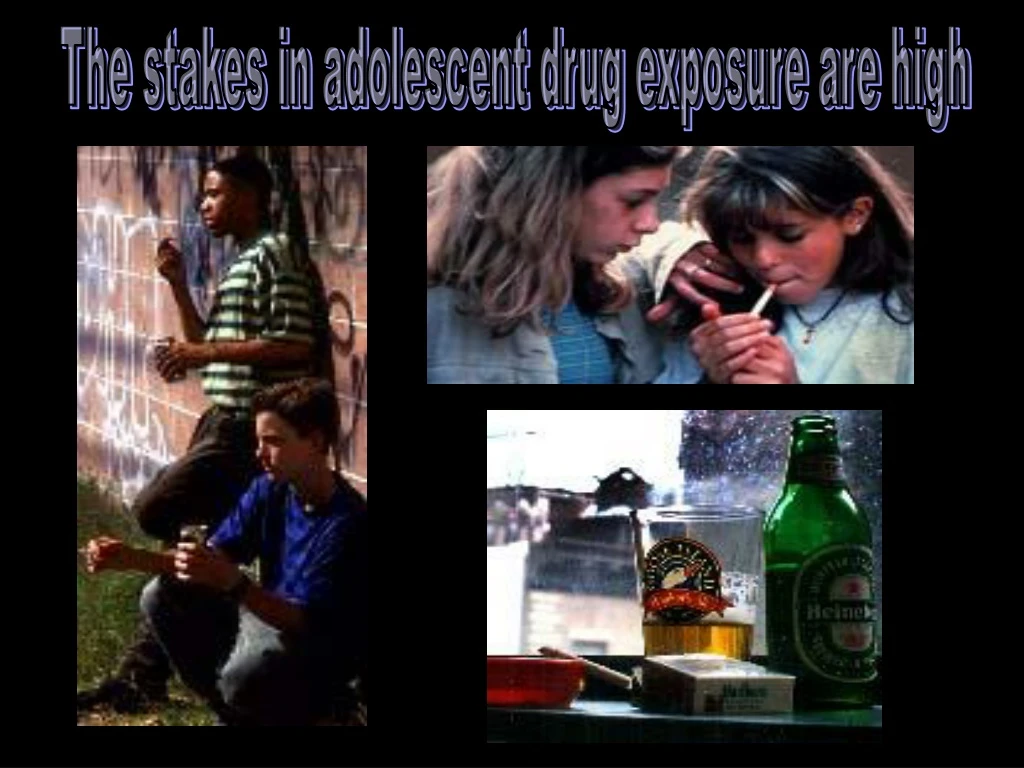 the stakes in adolescent drug exposure are high