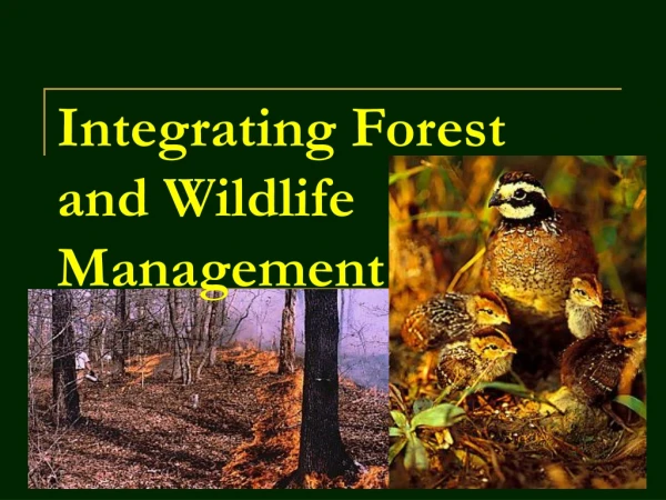 Integrating Forest and Wildlife Management