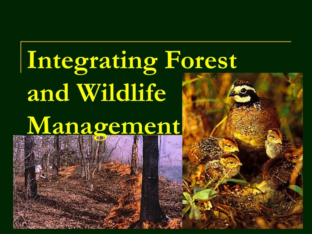 integrating forest and wildlife management