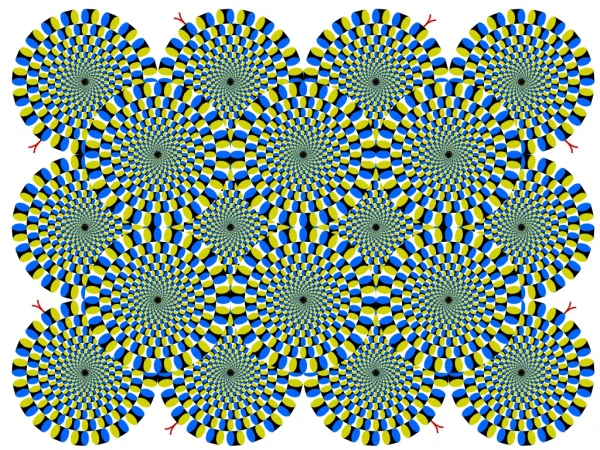 Motion illusion, rotating snakes