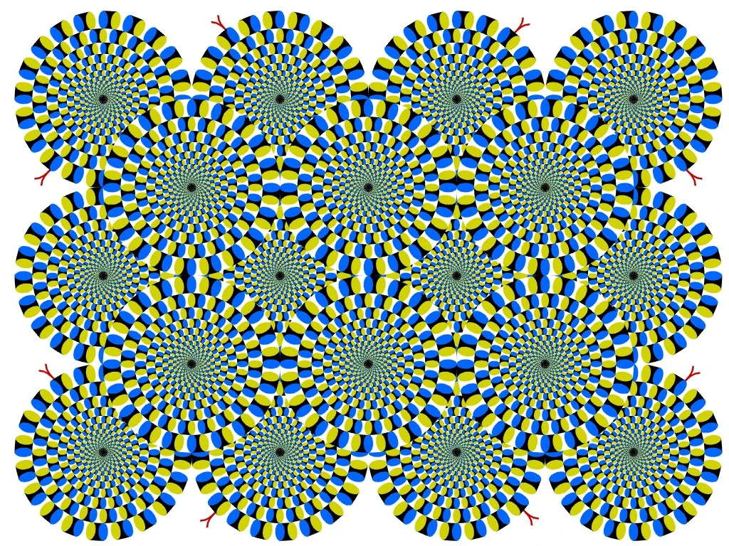 motion illusion rotating snakes