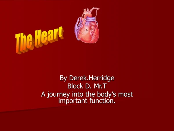 By Derek.Herridge Block D. Mr.T A journey into the body’s most important function.