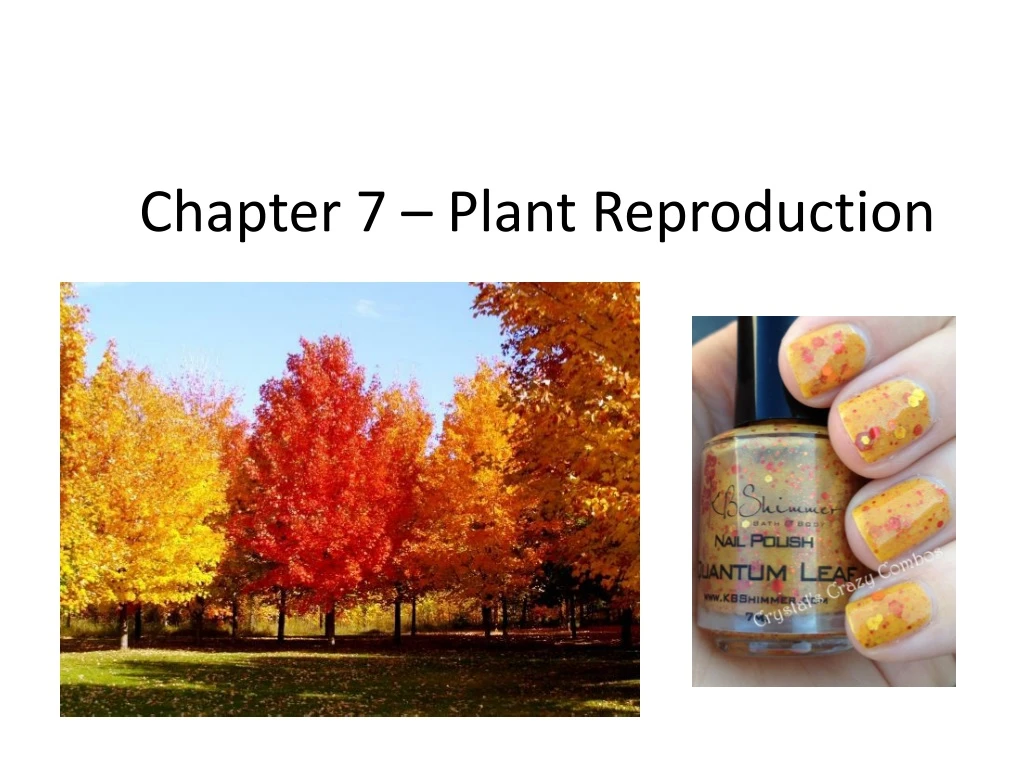 chapter 7 plant reproduction
