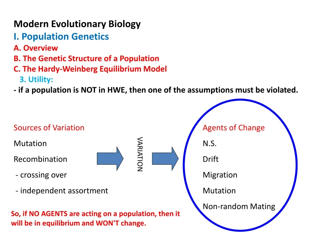 modern evolutionary biology i population genetics