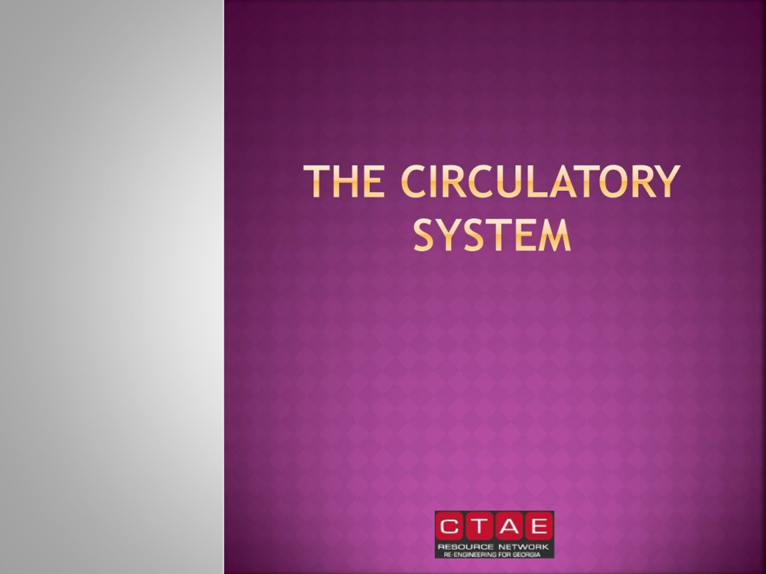 PPT - The Circulatory System PowerPoint Presentation, free download ...