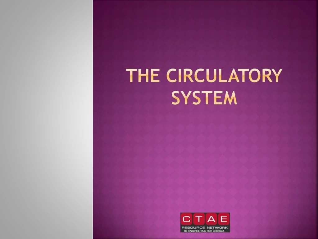 the circulatory system