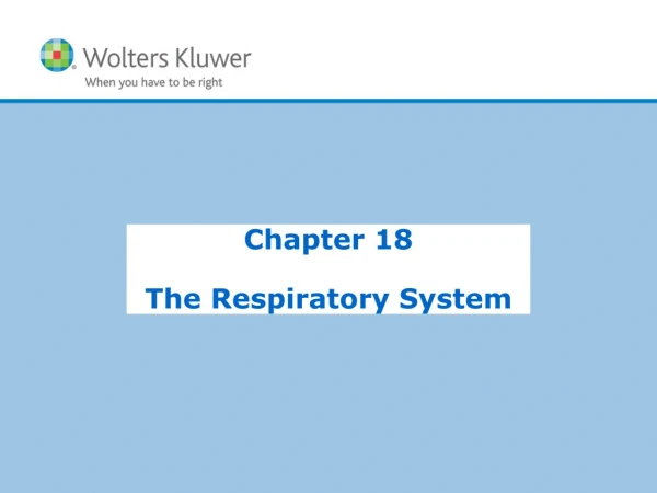 Chapter 18 The Respiratory System