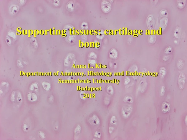 Supporting tissues :  cartilage  and  bone Anna L. Kiss