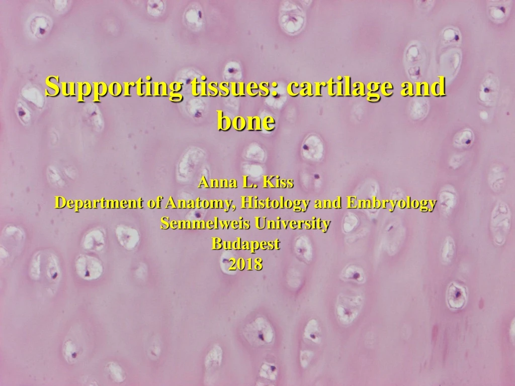supporting tissues cartilage and bone anna l kiss