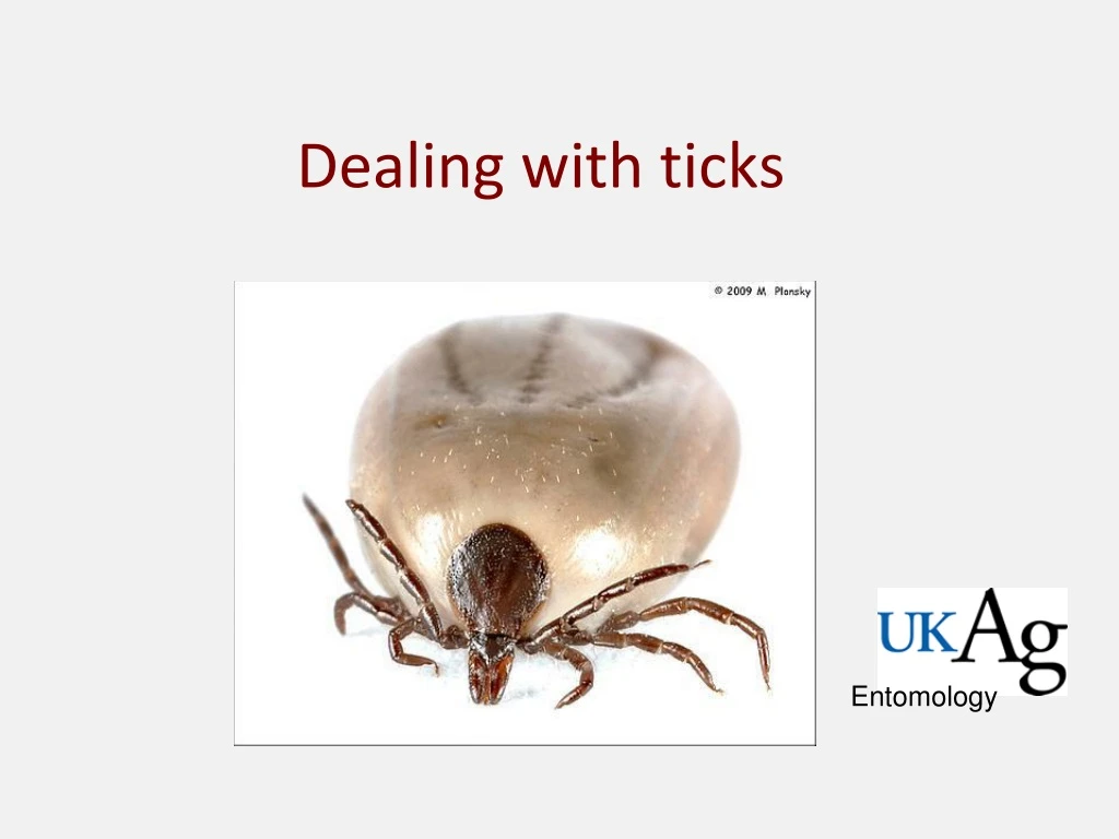dealing with ticks