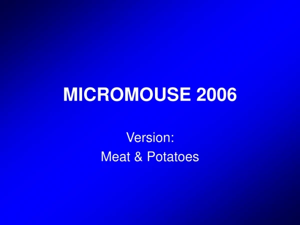 MICROMOUSE 2006
