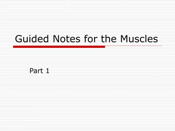 Guided Notes for the Muscles