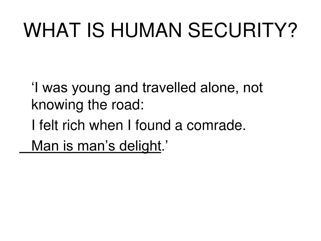 what is human security