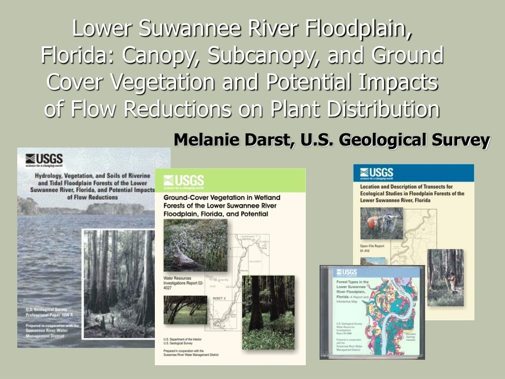 lower suwannee river floodplain florida canopy