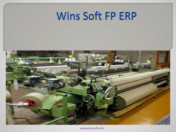 Wins Soft FP ERP