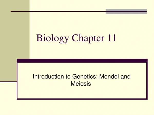 Biology Chapter 11