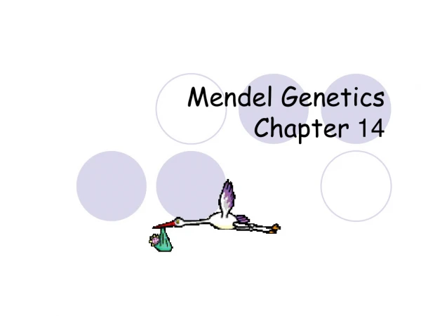Mendel Genetics Chapter  14