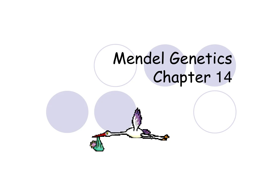 mendel genetics chapter 14