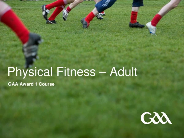 Physical Fitness – Adult